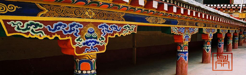 �����Ž��ʻ�